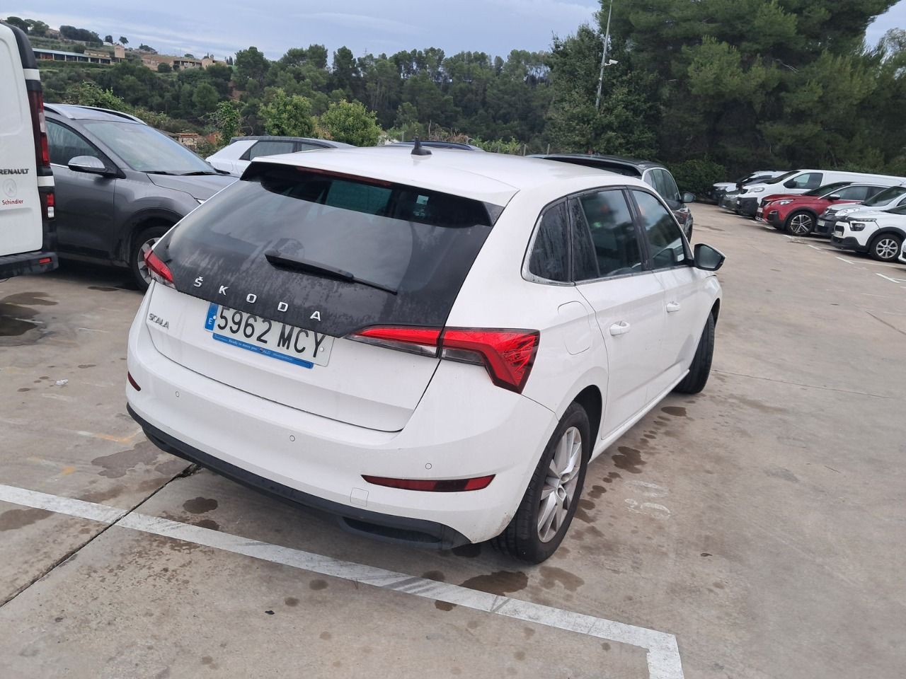 Skoda Scala 5962 MCY, foto 4 de 8, foto real