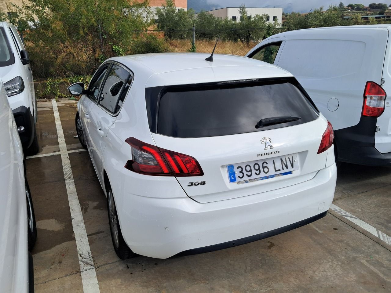 Peugeot 308 3996 LNV, foto 6 de 8, foto real
