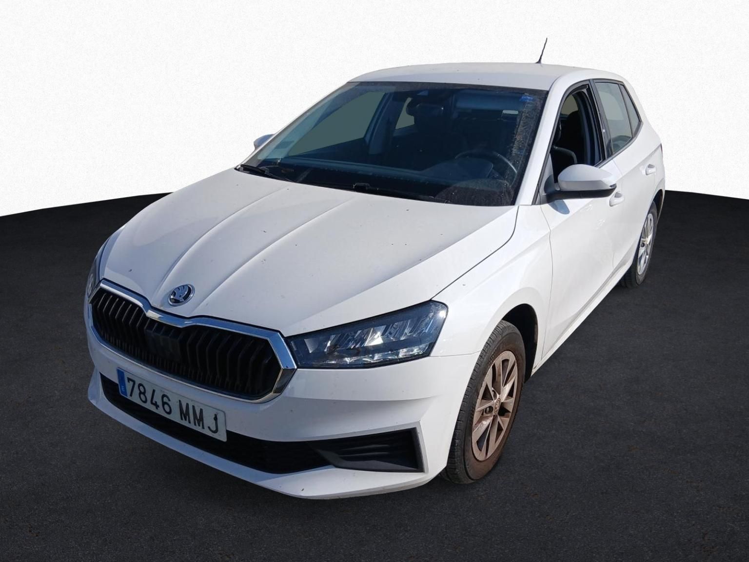 Skoda Fabia 7846 MMJ, foto 1 de 8, foto real