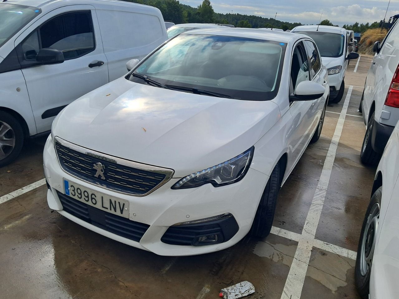 Peugeot 308 3996 LNV, foto 1 de 8, foto real