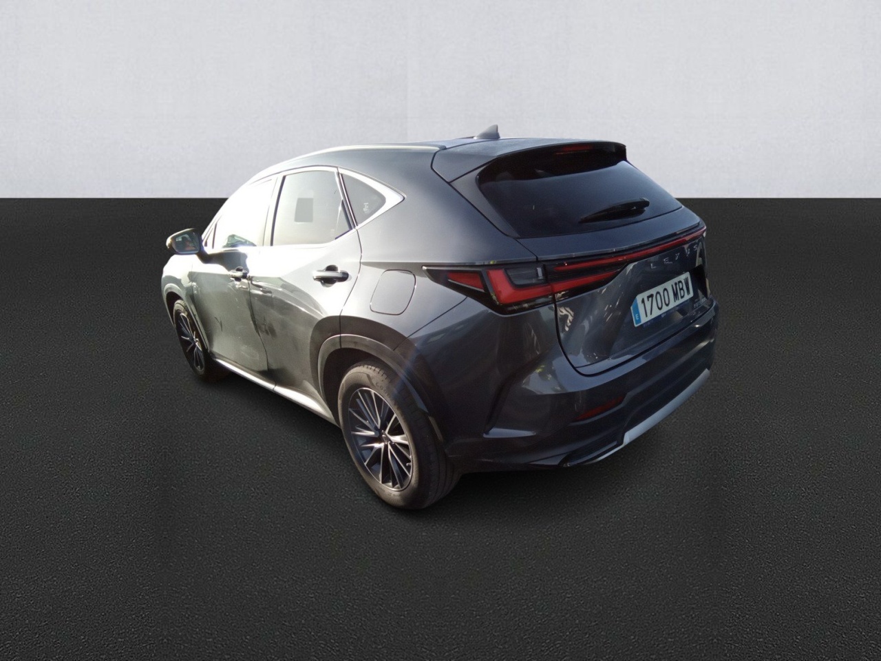 Lexus NX 1700 MBW, foto 6 de 8, foto real