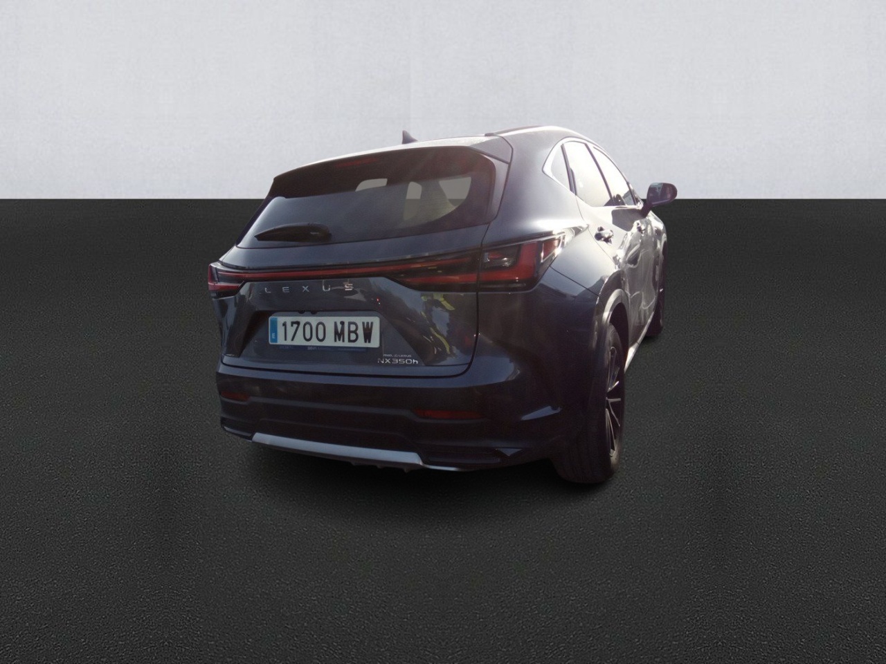 Lexus NX 1700 MBW, foto 4 de 8, foto real
