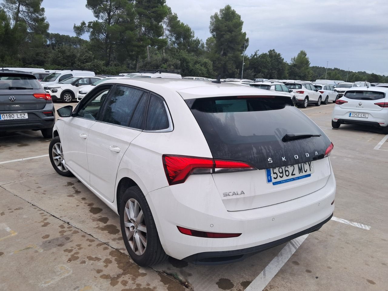 Skoda Scala 5962 MCY, foto 6 de 8, foto real