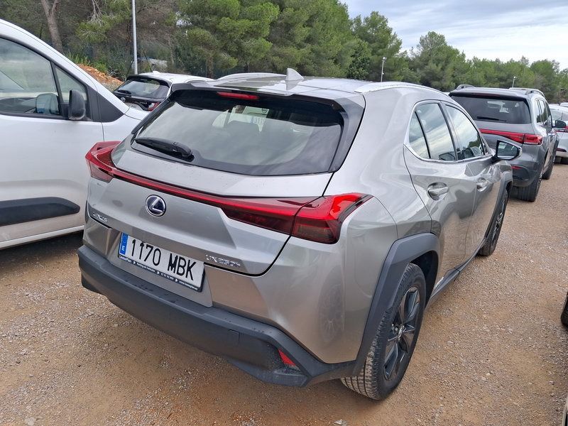 Lexus UX 1170 MBK, foto 4 de 8, foto real