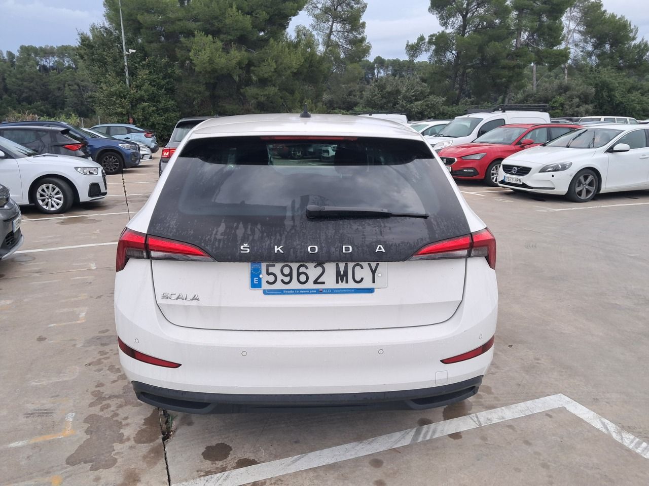Skoda Scala 5962 MCY, foto 5 de 8, foto real