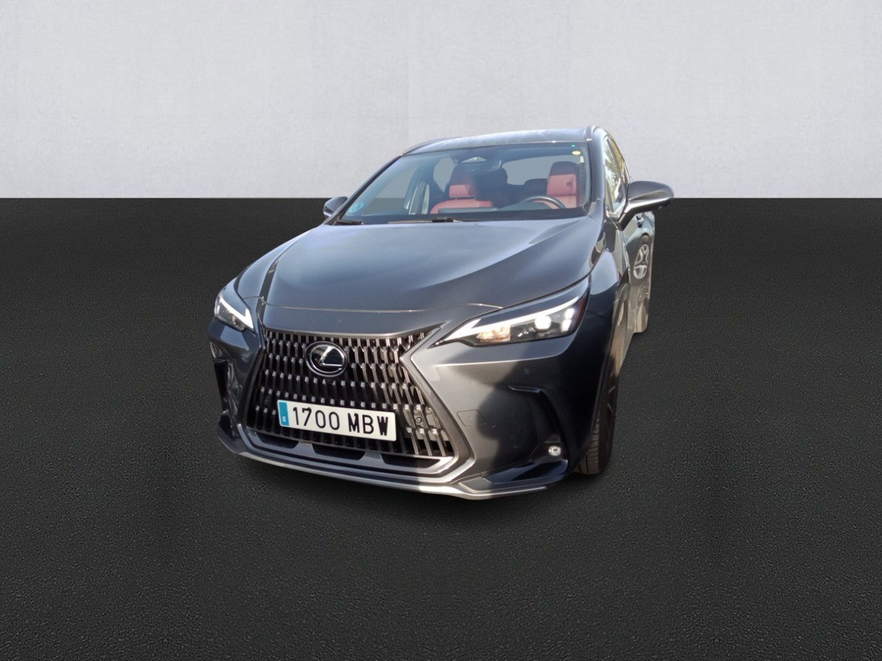Lexus NX 1700 MBW, foto 1 de 8, foto real