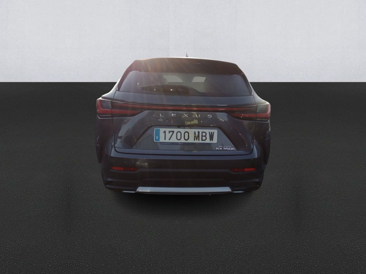 Lexus NX 1700 MBW, foto 5 de 8, foto real