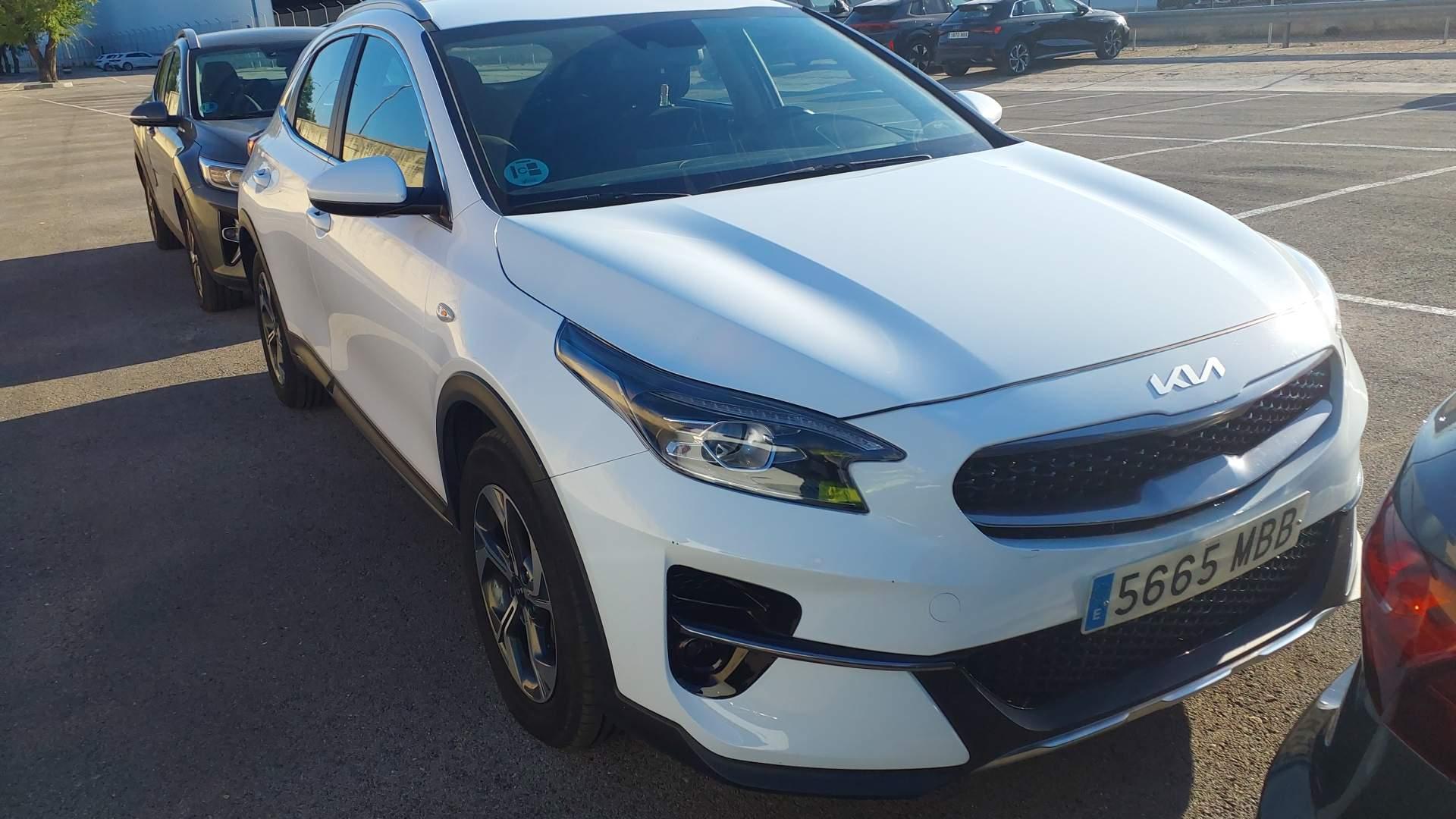 Kia XCeed 5665 MBB, foto 4 de 8, foto real